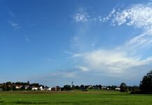 Jak sprawdzić gdzie jest woda na działce?