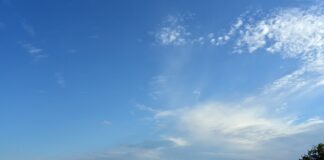 Jak sprawdzić gdzie jest woda na działce?