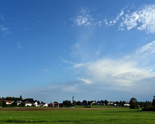 Jak sprawdzić gdzie jest woda na działce? Jak sprawdzić gdzie jest woda na działce?