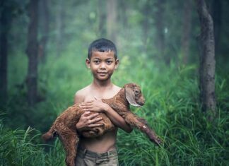 Co to znaczy gdy dymi się z kozy?