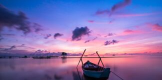 Jaki jest najmodniejszy kolor mebli kuchennych?