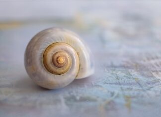 Jakie są dozwolone prędkości na polskich drogach? Jakie są dozwolone prędkości na polskich drogach?