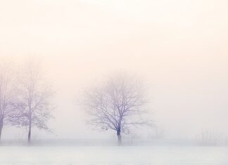 Ile trwa zamrażanie kostek lodu?