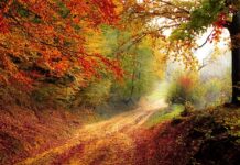 Do którego roku można palić piecem 5 klasy?