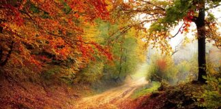 Do którego roku można palić piecem 5 klasy?