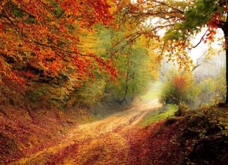 Do którego roku można palić piecem 5 klasy? Do którego roku można palić piecem 5 klasy?