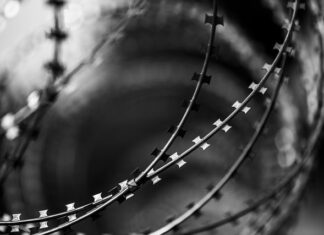 Kim jest Daniel Grzyb?