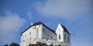 Gdzie jest bordnetz a3 8p?