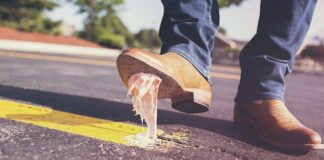 Z czego zrobić gumę do procy?