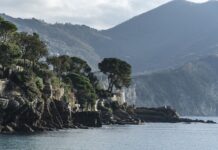 Ile kosztuje gle? Ile kosztuje gle?