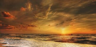 Jakie dania do wina?