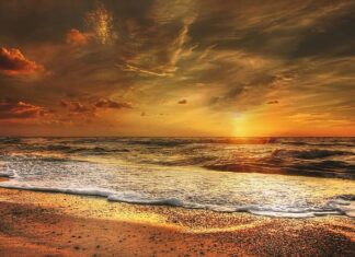 Jakie dania do wina?