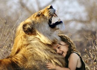 Jakie zęby pacy do płytek? Jakie zęby pacy do płytek?