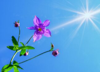 Czy można chodzić z bronią? Czy można chodzić z bronią?