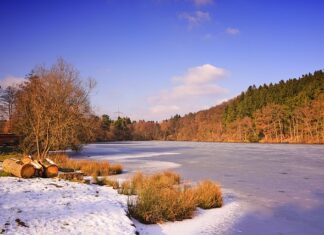 W jakiej temperaturze zamarza Coca Cola? W jakiej temperaturze zamarza Coca Cola?