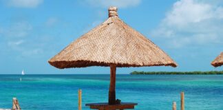 Jaki uszczelniacz do miski olejowej?