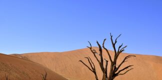 Jak sprawdzić czy ceramika jest na samochodzie?