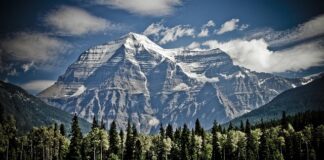 Jak zamontować kółka do łóżeczka?