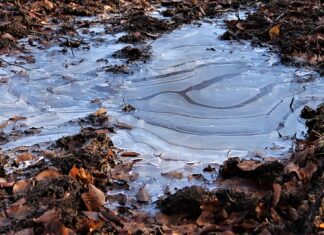 Ile soli na litr wody żeby nie zamarzła?