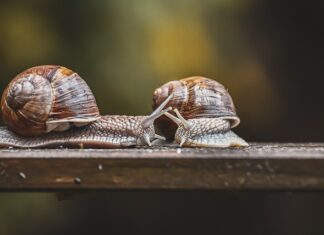 Gdzie jest czujnik Front Assist? Gdzie jest czujnik Front Assist?