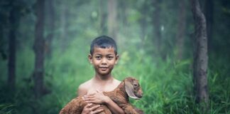 Czy koza musi być podłączona do komina?