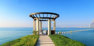 Ile kosztuje AdBlue 2023?