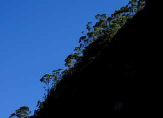 Czy kółka kauczukowe są dobre?