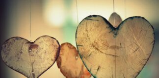 Z czym łączyć kolor brązowy?