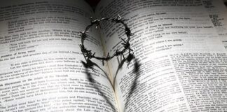 Jak sprawdzić pompę AdBlue?