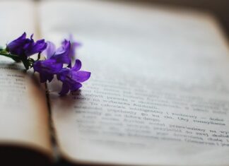 Czym wyczyścić pożółkłe białe meble kuchenne?