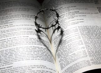 Ile AdBlue na 100l wody?