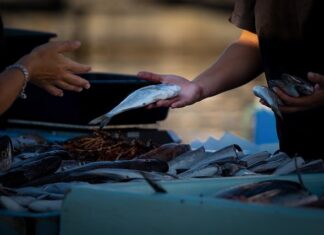 Kto może sprzedawać AdBlue?