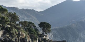 Ile kosztuje wino Primitivo di manduria?