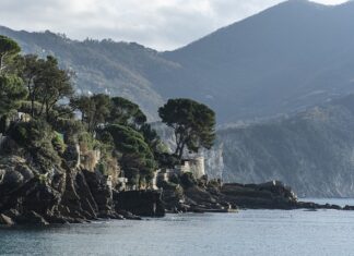 Ile kosztuje wino Primitivo di manduria? Ile kosztuje wino Primitivo di manduria?