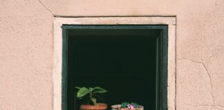 Czy można podlewać ogródek woda z kranu?