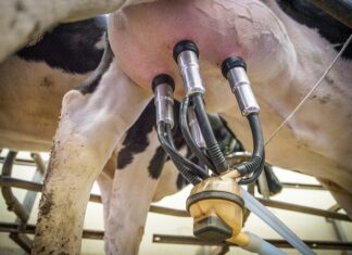 Co zrobić ze starych kubków?