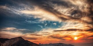 Ile kosztuje godzina pracy farelki?